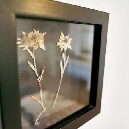 Tripple With Bathroom.